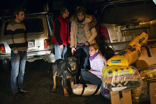 Cận cảnh giải cứu chó hoang khỏi Olympic Sochi 2014