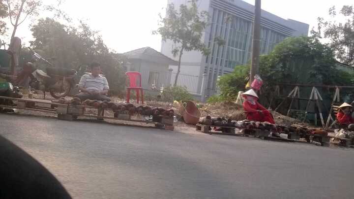 Dịch cúm H5N1 đe dọa người dân Sài Gòn