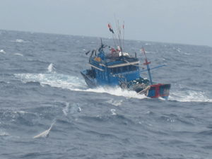 Thời tiết xấu, nhiều tàu cá bị nạn trên biển