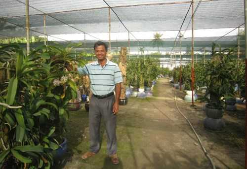 Đại gia Sài Gòn và thú chơi lan 'kỳ dị'