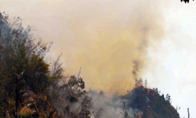 Lào Cai: Hơn 500 người xuyên đêm chữa cháy cứu rừng Hoàng Liên