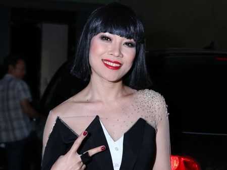 Mỹ Tâm mặc váy nhái, chấn động đầu năm