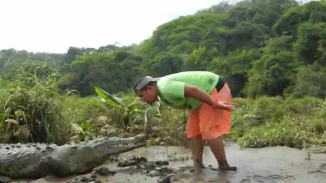 Thót tim xem clip cầm miếng thịt xuống đầm nhử cá sấu