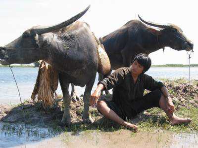 Bao giờ có phim nghệ thuật bán được vé?