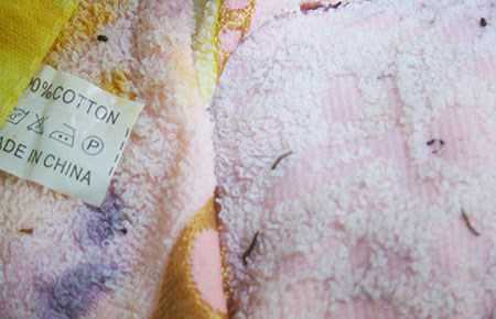 Sinh vật lạ ngọ nguậy trong khăn tắm Trung Quốc