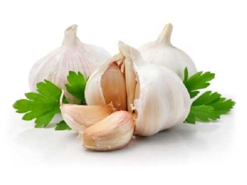 Ăn tỏi hàng ngày, bệnh tật tiêu tan