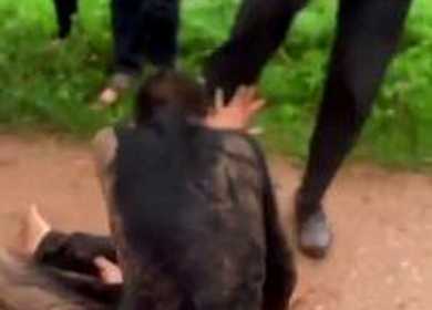 Trộm chó ngất xỉu vì bị dí điện, đánh hội đồng