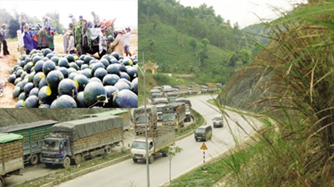 Dưa hấu dồn ứ ở cửa khẩu Tân Thanh, những lý giải bất ngờ