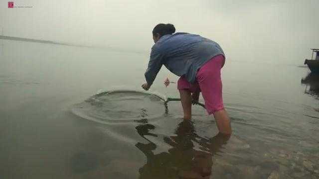 Dân Hà Nội phải mua nước sông để ăn