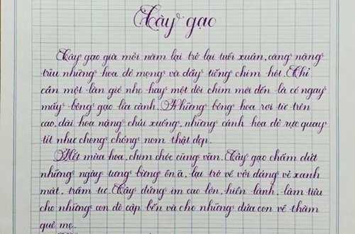 Viết chữ đẹp như in, dân mạng trầm trồ