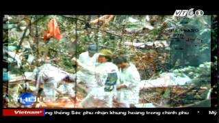 Sự sống kỳ diệu sau tai nạn máy bay