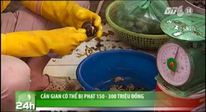 Cân gian sẽ bị phạt đến 300 triệu đồng