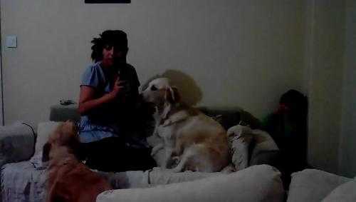 Chú chó khôn lanh can ngăn mẹ đánh em bé