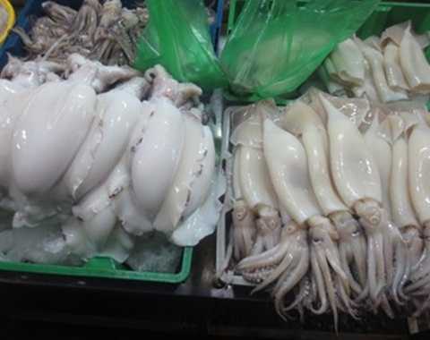 Công nghệ tẩy trắng hàng tấn mực thối ở Hà Nội