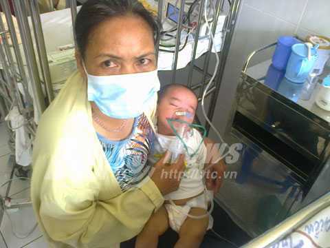 Tiến sỹ, lương y Nguyễn Hoàng: Cây mùi phòng chống tốt sởi