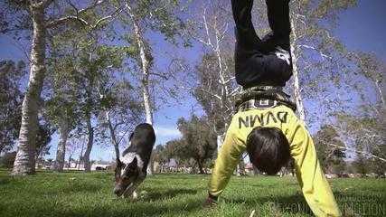 Thích thú xem chó Jumpy trổ tài parkour cực đỉnh