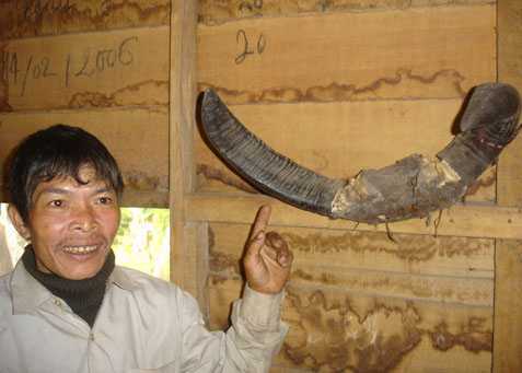 Lễ hội tình nhân kỳ lạ giữa đại ngàn Trường Sơn