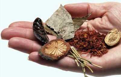 Bài thuốc cổ truyền hay phòng và chữa sởi