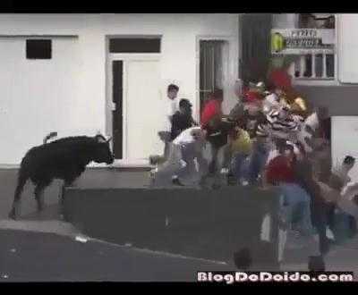 Kinh hoàng cảnh bò tót tấn công khán giả