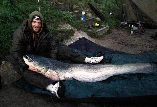 Dân câu nghiệp dư kể chuyện săn cá nheo quái vật