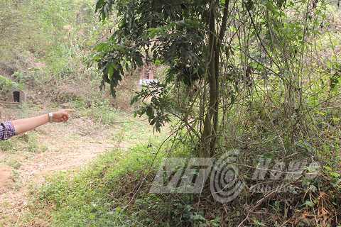 Giám đốc đào mộ trộm xương, chuyện giờ mới kể