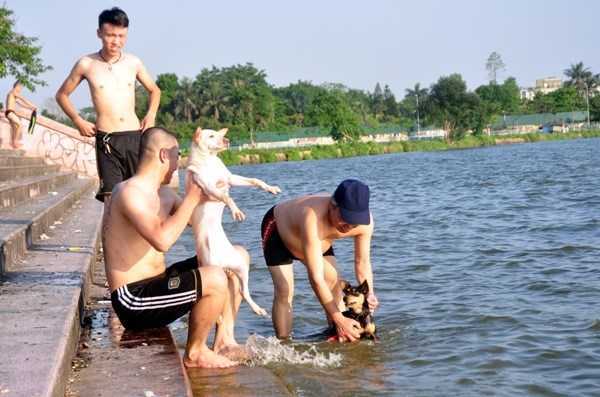 Cả nước nắng như đổ lửa