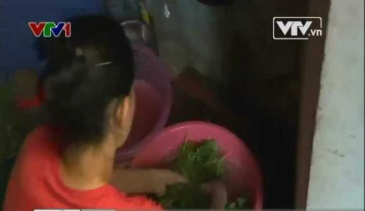 Hà Nội: Mất nước, dân phải mua với giá 'cắt cổ'