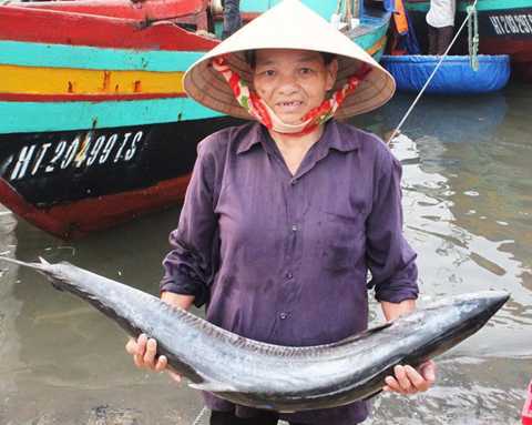 Thắng mùa cá, nghị lực bám biển Hoàng Sa càng căng đầy