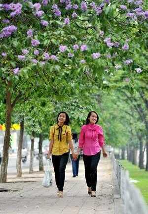 Thời tiết miền Bắc dịu dần