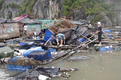 Sẽ có khoảng 10 cơn bão, áp thấp trên Biển Đông