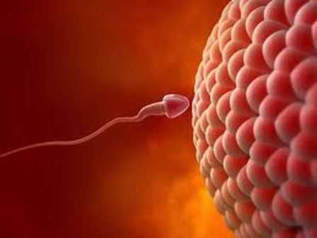 Kỹ thuật mới sàng lọc dị tật thai nhi