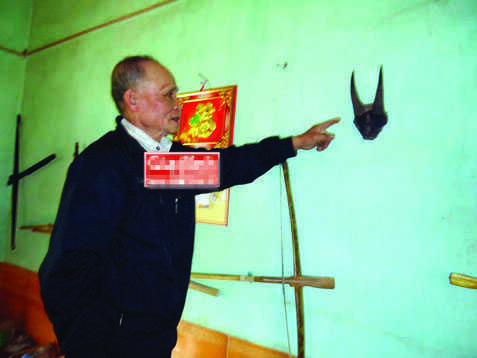 Bí ẩn chiếc sừng dê truyền đời trị thương ở chốn thâm sơn