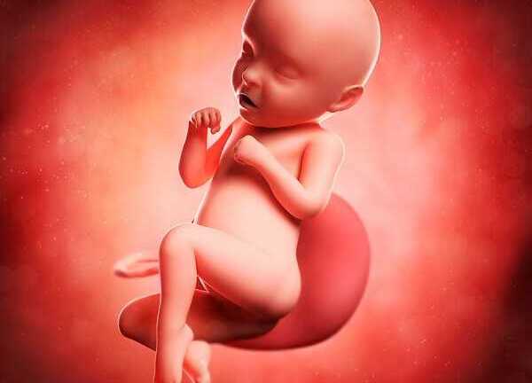 Thai nhi chống cằm suy tư khi mẹ stress