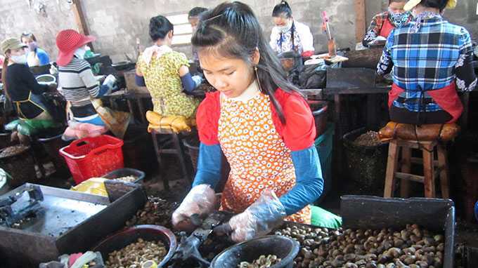 Lá thư rơi nước mắt của cô bé bóc hột điều