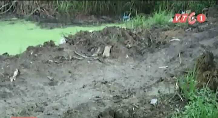 Kinh hoàng dòng kênh nhiễm 500 tấn hóa chất, không sinh vật nào sống nổi ở TP.HCM