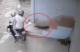 Clip: Phút 3 người đuổi trộm chó bị bắn súng điện chết