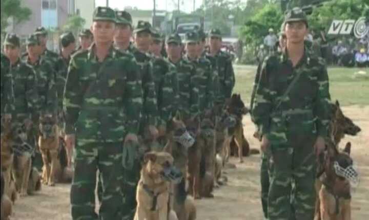 Diễn tập chống bạo động tại Khu kinh tế Vũng Áng