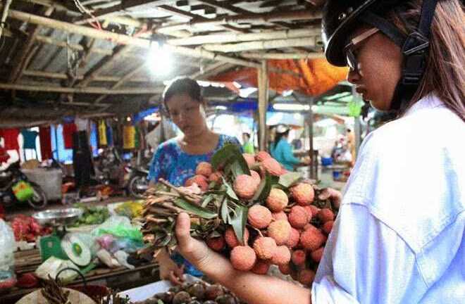 Quả vải Trung Quốc xuất ngược vào Việt Nam