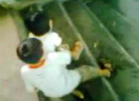 Mẹ chết lặng thấy con diễn trò 'người lớn' với người tình nhí