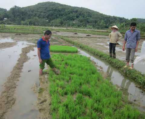 Dân tố cán bộ xã 'kéo quân' phá mạ của dân