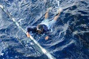 'Đặt cược' mạng sống dưới đáy đại dương