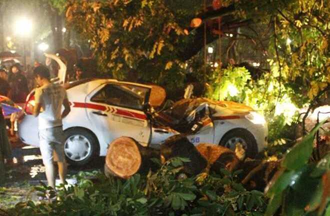 Những cái chết bất thình lình trong mưa bão dị thường