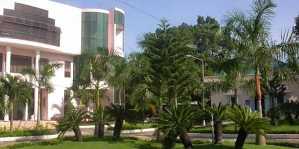 Thấy gì từ vụ bác sĩ từ chối làm quan to để phụng dưỡng mẹ?