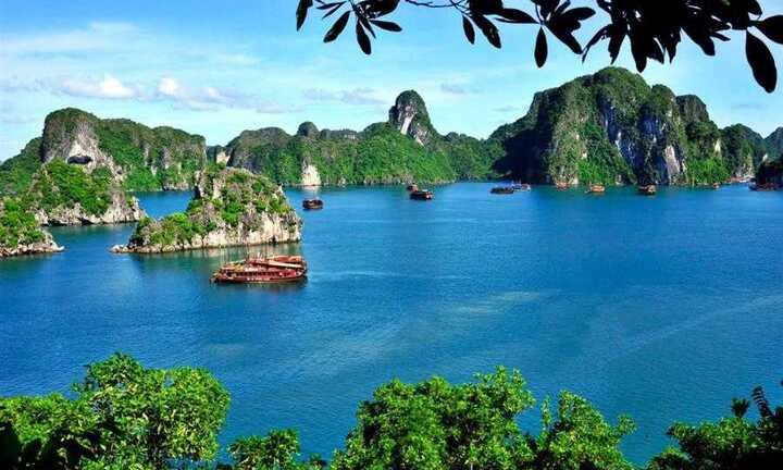 Giao tư nhân quản lý Vịnh Hạ Long: Chuyên gia cổ vũ nhiệt liệt