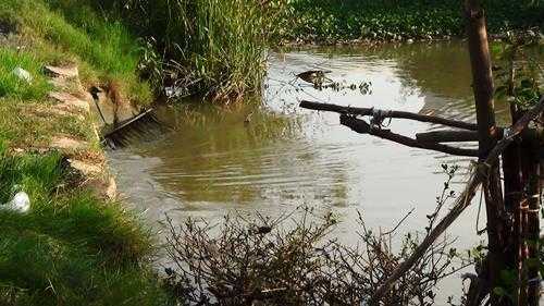 'Giải nhiệt' trên rạch, một người bị nước cuốn mất tích