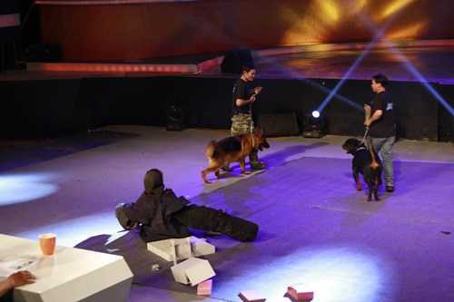 Clip: Hồ Quang Hiếu bị chó đuổi trên sân khấu khi đang hát 'Con bướm xuân'