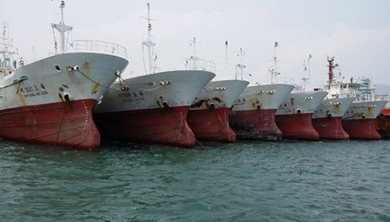 Đại gia mua tàu cá, máy bay ra Hoàng Sa: Nhiều nước muốn 'biếu không'
