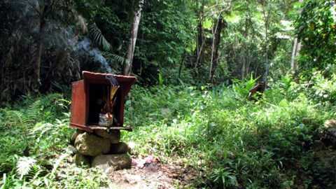 Thảm sát kinh hoàng, 18 phu vàng bị lôi vào rừng bắn chết