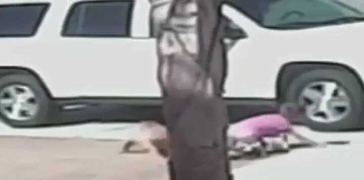 Clip: Chú mèo liều mình cứu cậu chủ nhỏ