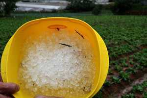 Trận mưa đá lịch sử trút xuống chân núi Lang Biang